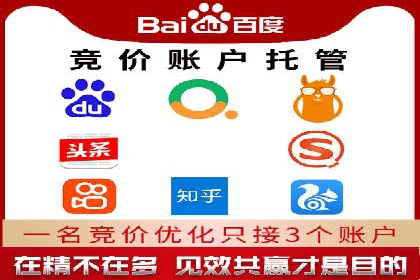 行业专家眼中的sem竞价推广托管策略